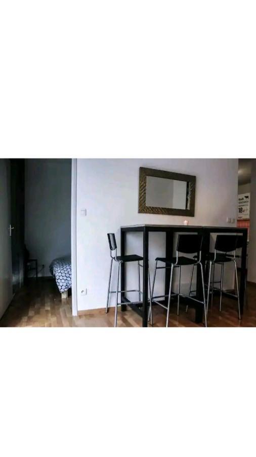 Bel Appartement Proche Du Canal Du Midi Тулуза Екстер'єр фото