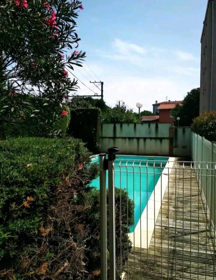 Bel Appartement Proche Du Canal Du Midi Тулуза Екстер'єр фото