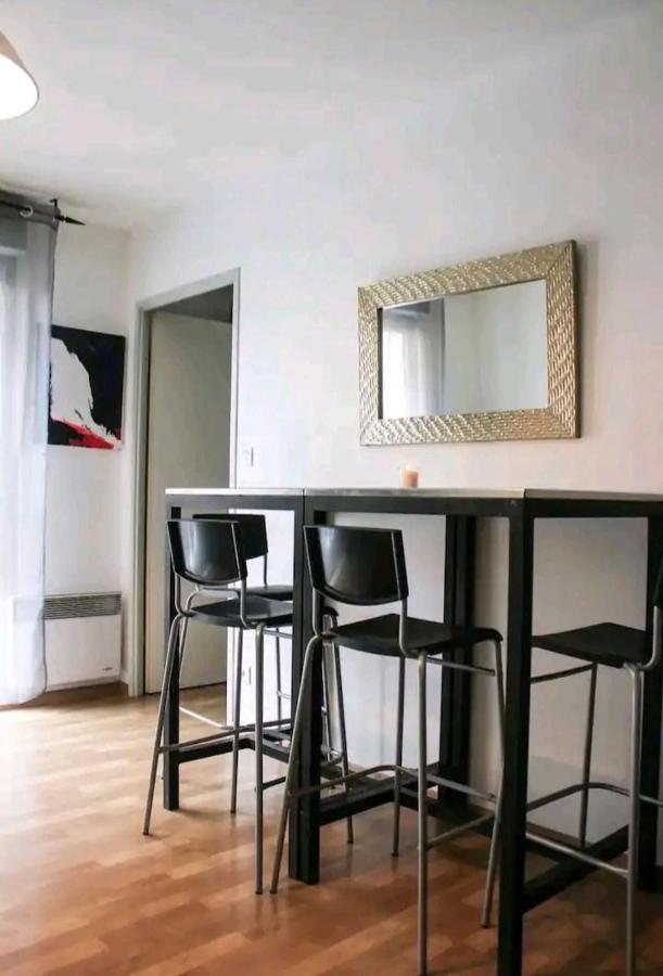 Bel Appartement Proche Du Canal Du Midi Тулуза Екстер'єр фото