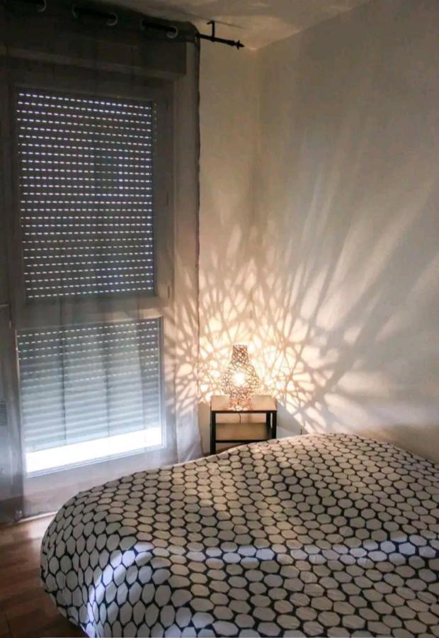 Bel Appartement Proche Du Canal Du Midi Тулуза Екстер'єр фото
